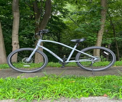 Electra Townie Path 9d